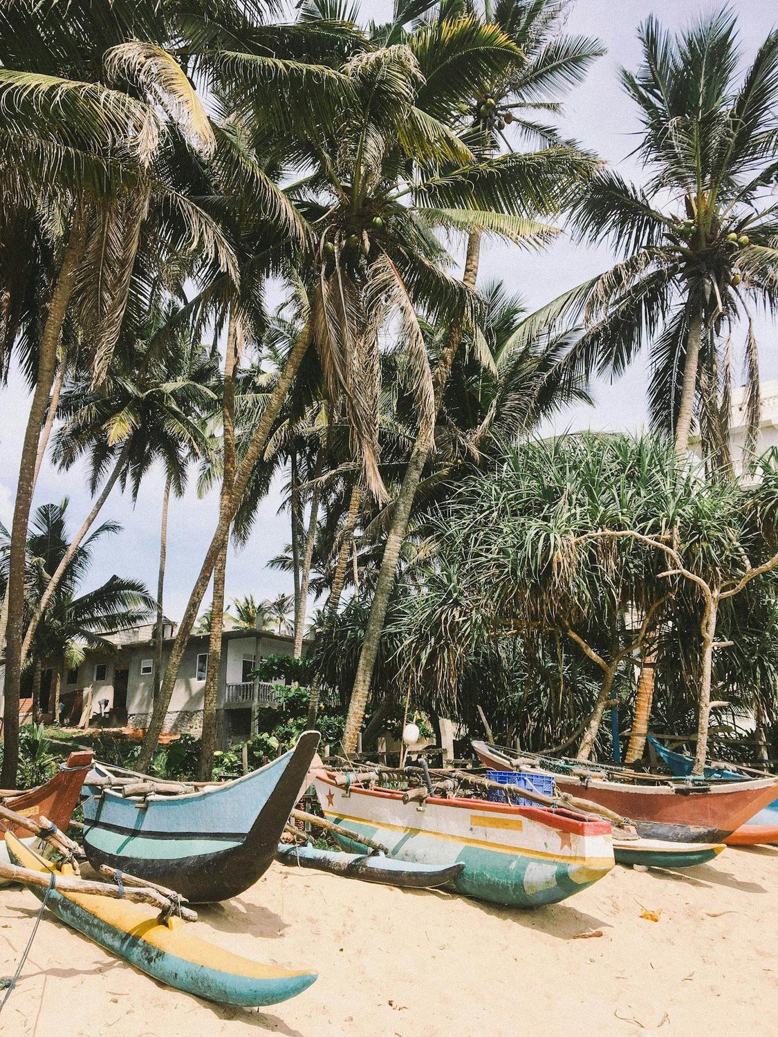Down South Explore - 7 Nights / 8 Days private tour of Sri Lanka